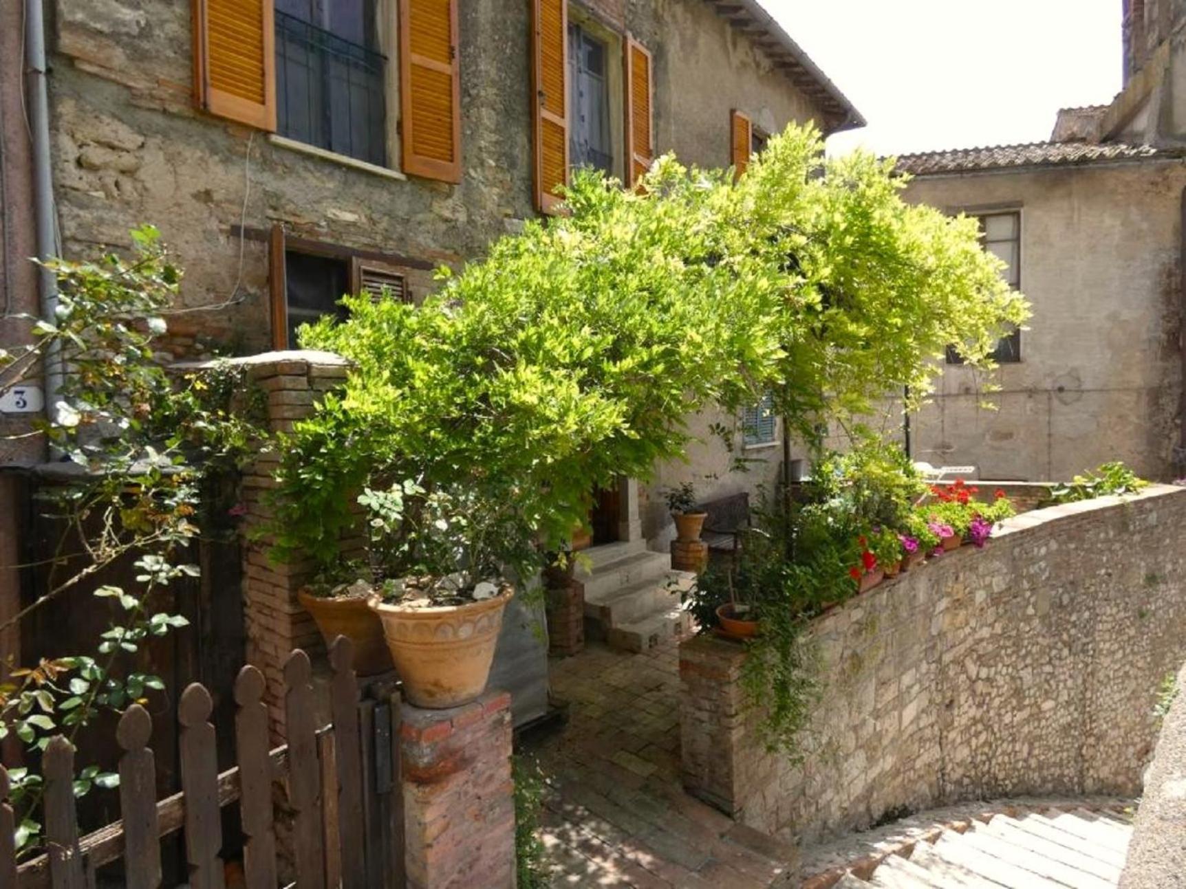 Scappo In Umbria, La Loggia Apartment Амелиа Екстериор снимка